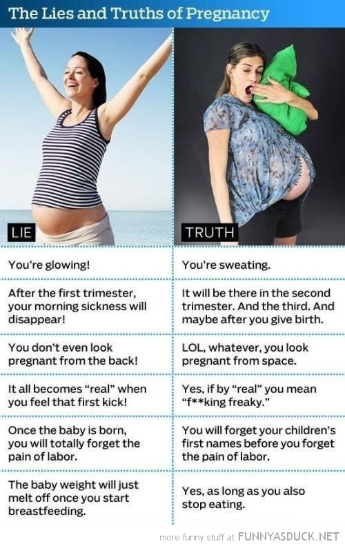 Lies And Truths Of Pregnancy