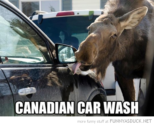 Canadian Car Wash
