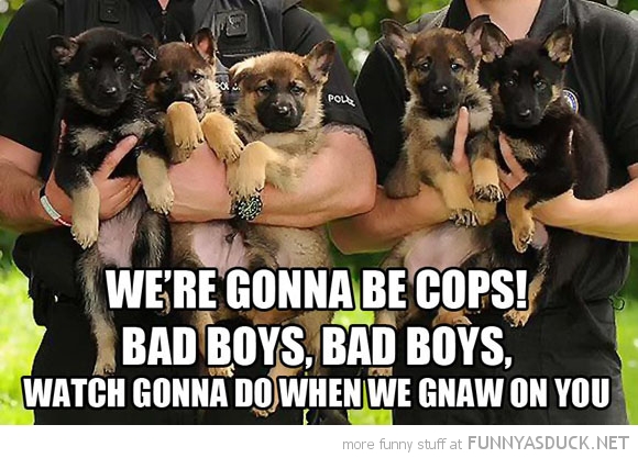 We're Gonna Be Cops