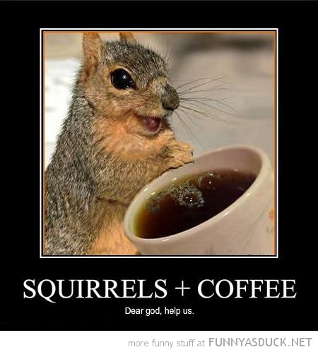 Squirrels + Coffee