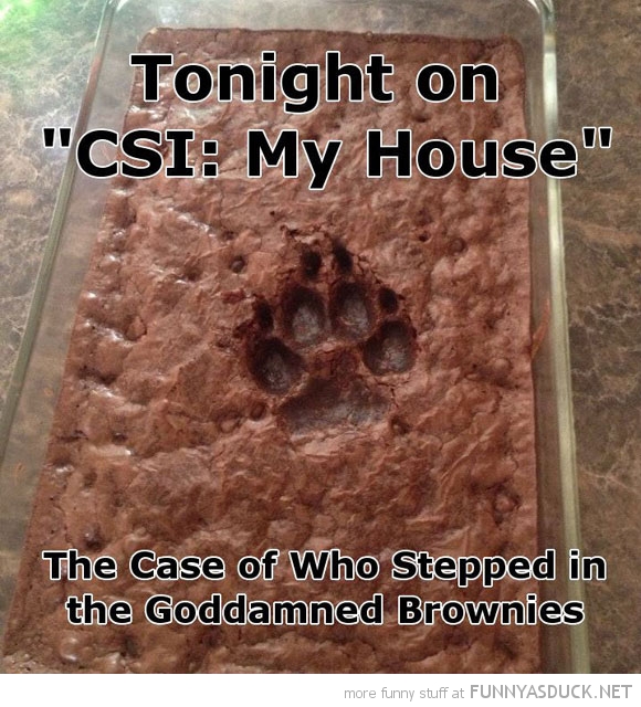 Tonight On CSI