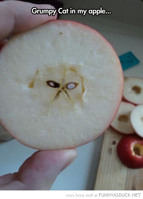 Grumpy Apple
