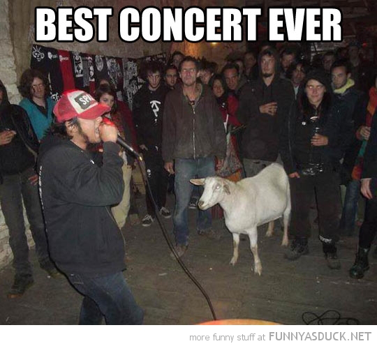 Best Concert Ever | Funny As Duck