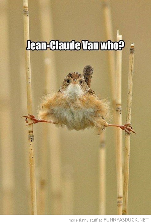 Jean-Claude Van Who?