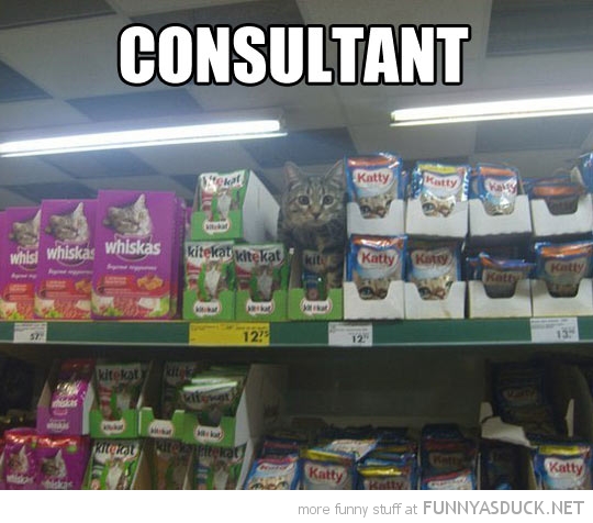 Consultant