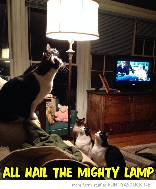 The Mighty Lamp
