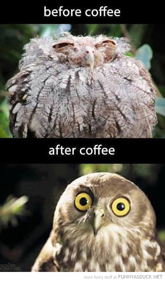 After Coffee