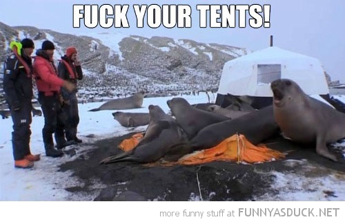 F*ck Your Tents