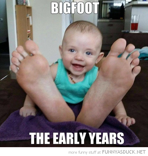 Young Bigfoot