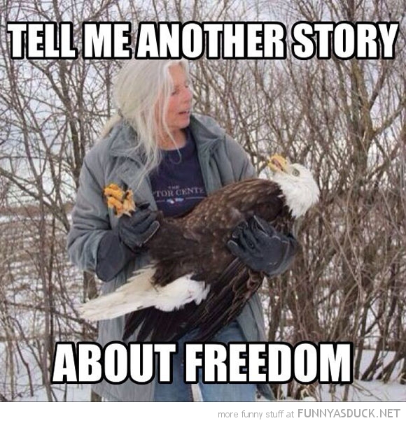 Eagle Bedtime Story