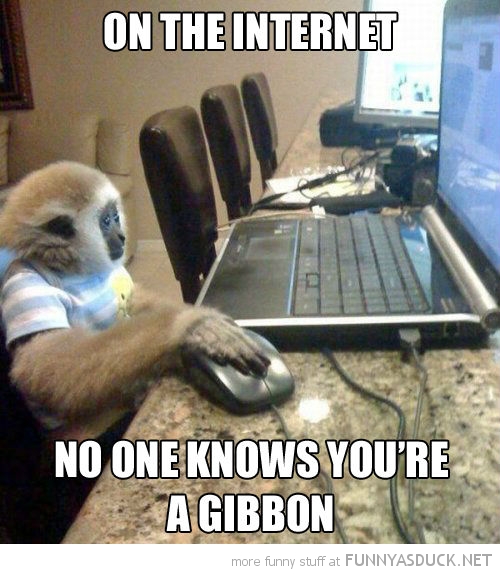 On The Internet...