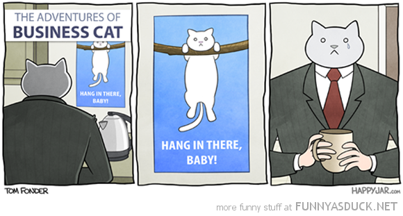 More Business Cat