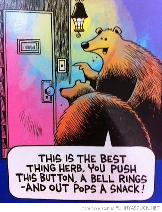 Bear Vending Machine