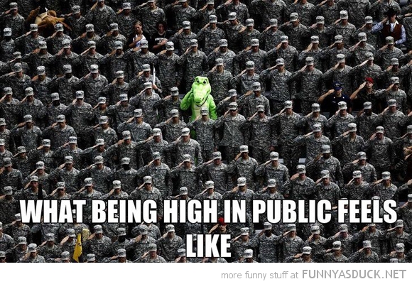 High In Public