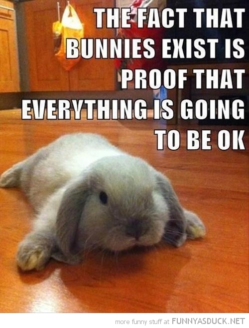 Bunnies Exist