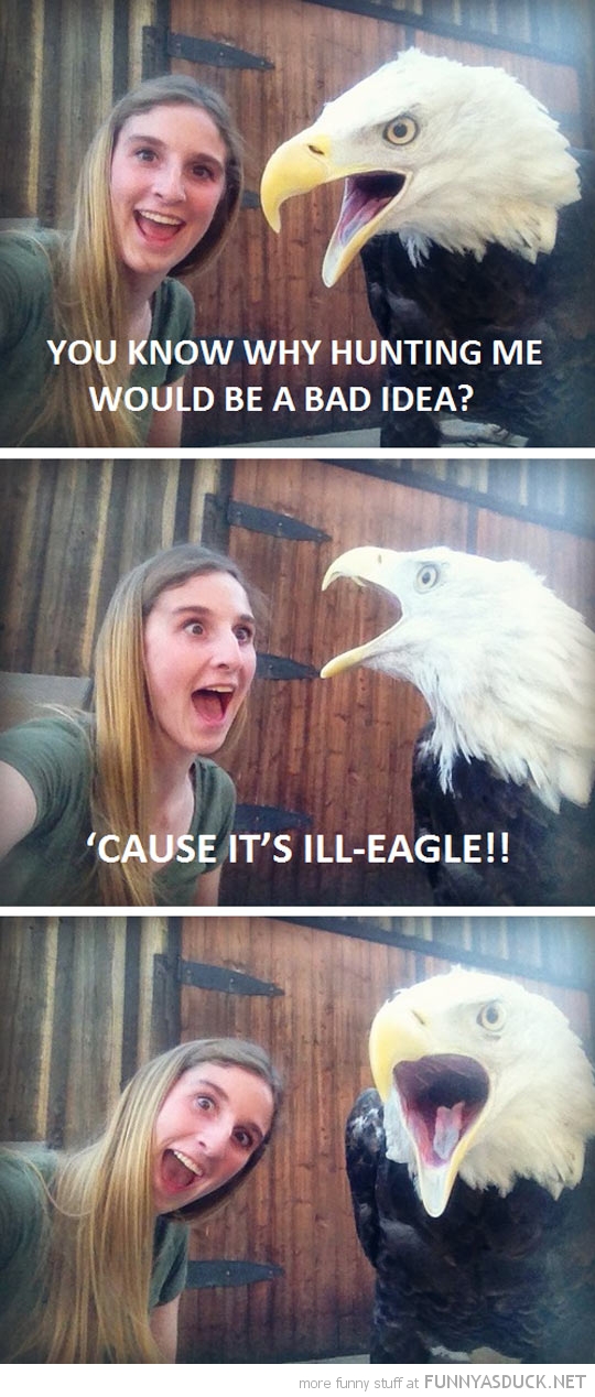Ill-Eagle