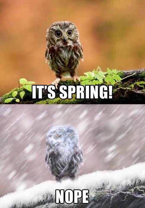 It's Spring!
