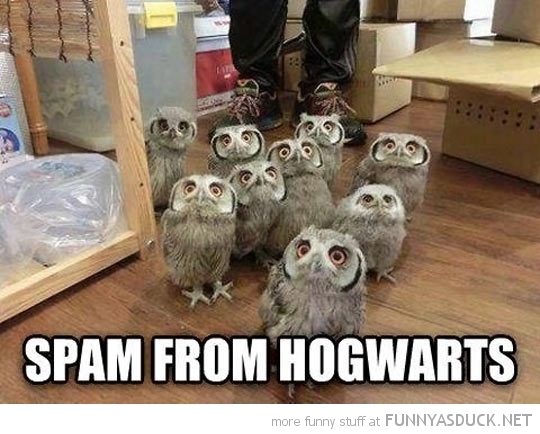 Spam From Hogwarts