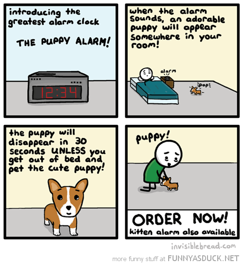 The Puppy Alarm