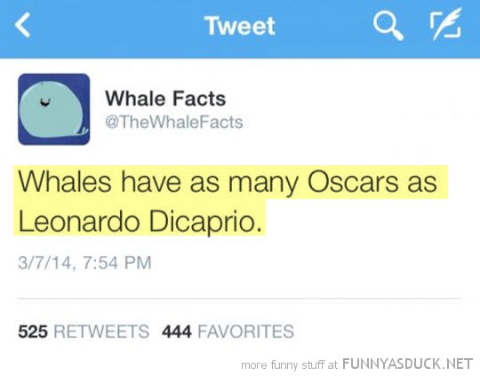 Whale Facts