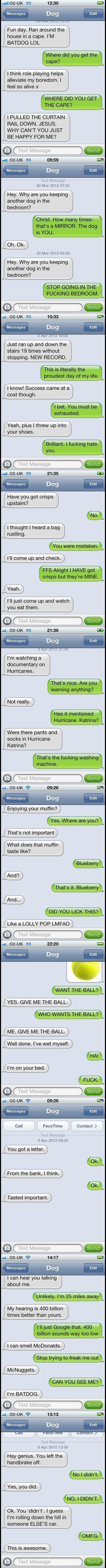 Texts From Dog