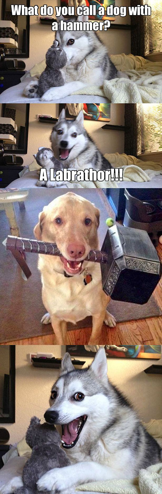Dog With A Hammer | Funny As Duck