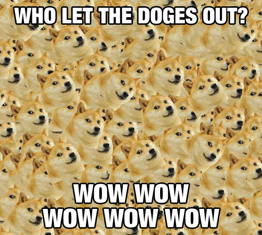 Who Let The Doges Out?