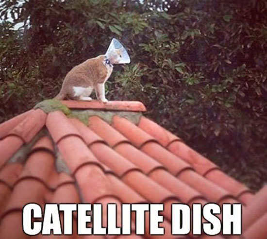 Catellite Dish