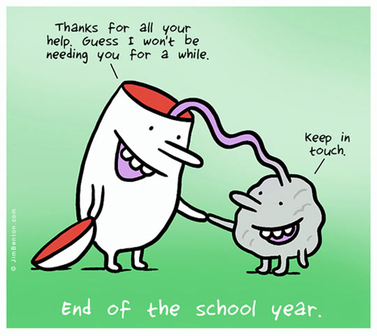 End Of The School Year