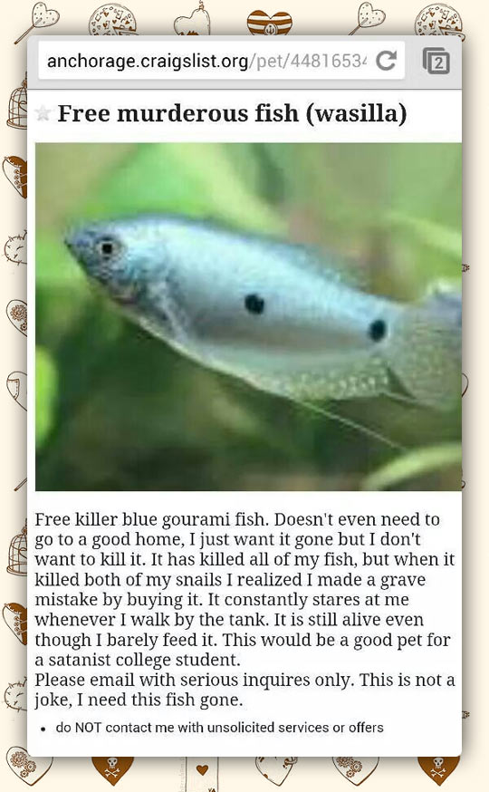 Free Fish