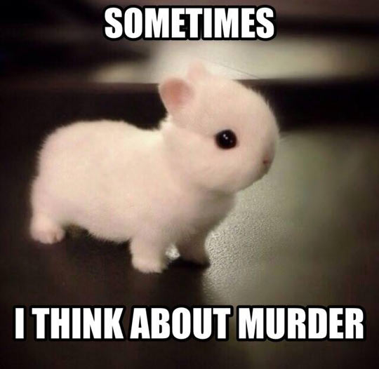 Murder Bunny