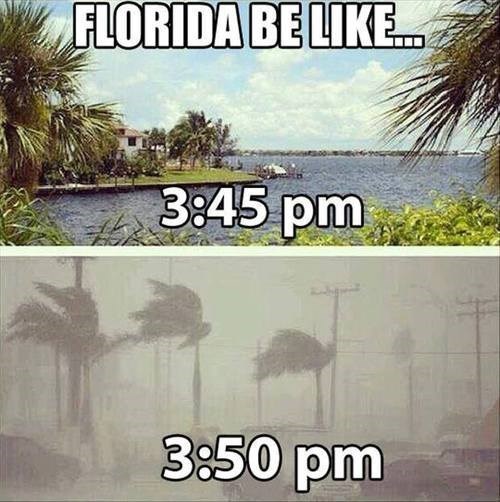 Florida Be Like...