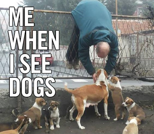 When I See Dogs