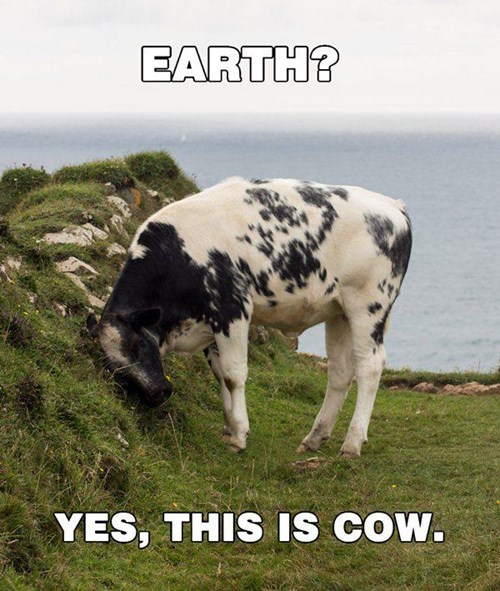 Earth?