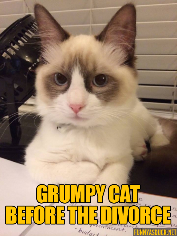 Grumpy Cat Before The Divorce