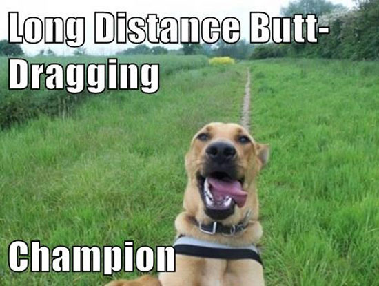 Butt Dragging Champ
