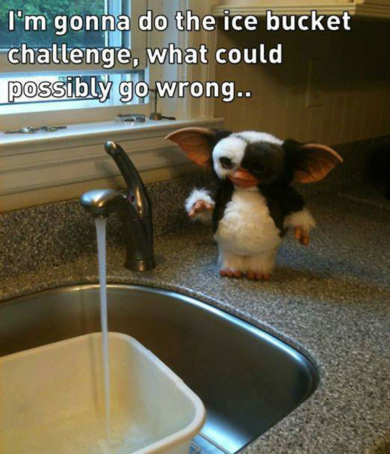 Gremlins Ice Bucket Challenge