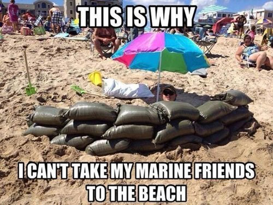Marine Friends