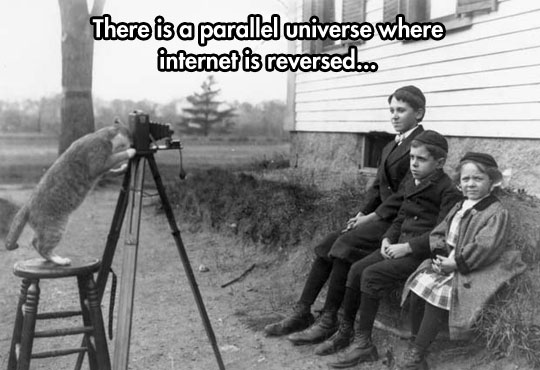 A Parallel Universe