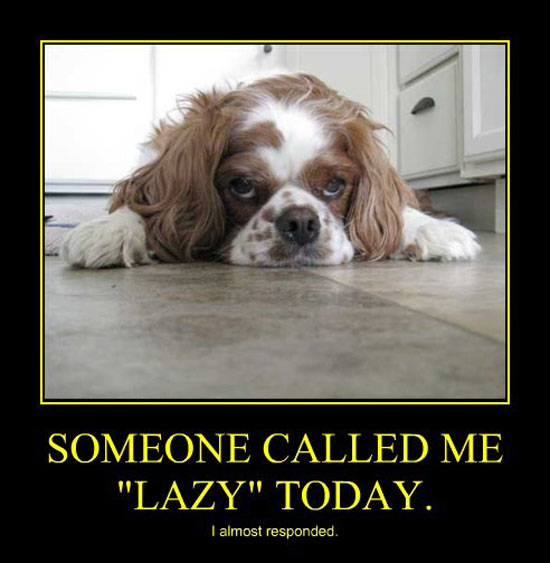 Someone Called Me Lazy