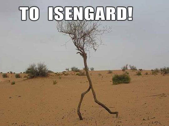 To Isengard!