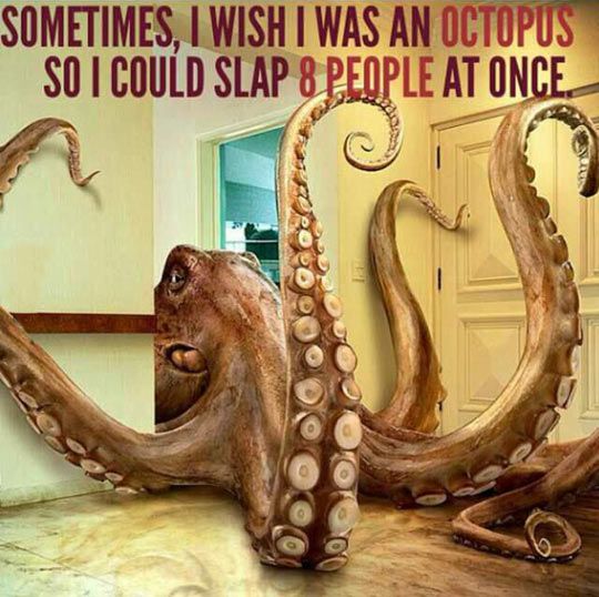 I Wish I Was An Octopus