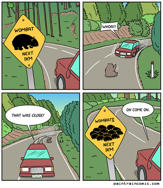 Wombat Ahead