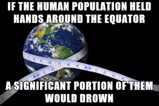 The Human Population