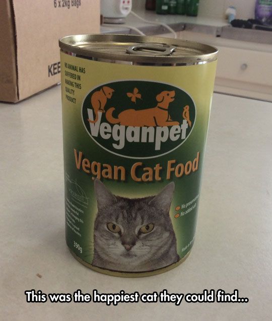 Vegan Cat Food