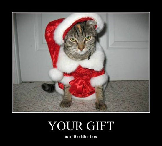 Your Gift