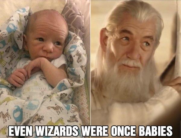 Baby Gandalf