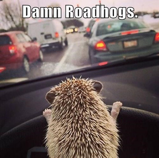 Roadhog
