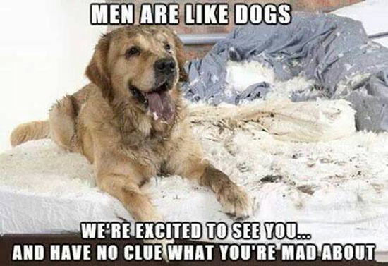 Dogs Are Like Men