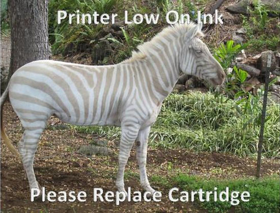 Printer Ink Low